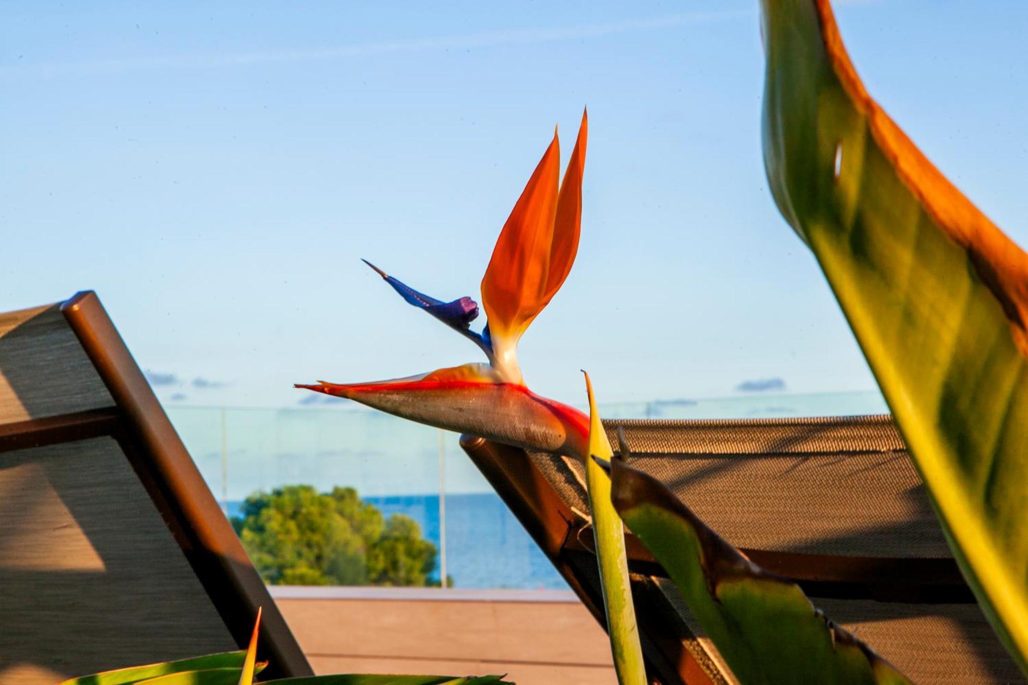 Albades Hotel & Spa (Adults Only) Benicàssim Buitenkant foto